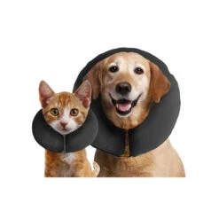 ZenPet Pro Collar -Dierenvriend Kortingshuis prod 5331 88992 0500 none