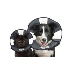 ZenPet Zen Collar -Dierenvriend Kortingshuis prod 5332 89019 0500 none