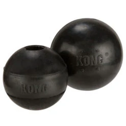 KONG Extreme Ball -Dierenvriend Kortingshuis product none 4 1458652754 66993