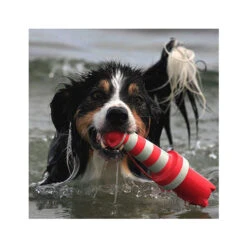 Rogz Lighthouse 5 Rogz Lighthouse -Dierenvriend Kortingshuis product rogz lighthouse none 4 1485526267 82936