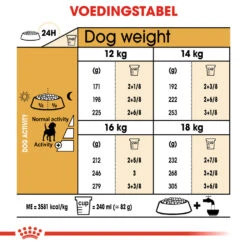 Royal Canin Beagle Adult - Hondenvoer 13 Royal Canin Beagle Adult - Hondenvoer -Dierenvriend Kortingshuis royal canin beagle adult hondenvoer 137329 1000 none