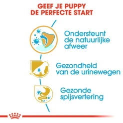 Royal Canin Dalmatian Junior - Hondenvoer -Dierenvriend Kortingshuis royal canin dalmatian puppy hondenvoer 138586 1000 none