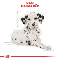 Royal Canin Dalmatian Junior - Hondenvoer -Dierenvriend Kortingshuis royal canin dalmatian puppy hondenvoer 138595 1000 none