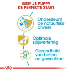 Royal Canin German Shepherd Puppy- Hondenvoer -Dierenvriend Kortingshuis royal canin german shepherd puppy hondenvoer 138835 1000 none