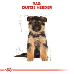 Royal Canin German Shepherd Puppy- Hondenvoer -Dierenvriend Kortingshuis royal canin german shepherd puppy hondenvoer 138844 1000 none