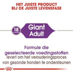 Royal Canin Giant Adult - Hondenvoer -Dierenvriend Kortingshuis royal canin giant adult hondenvoer 128390 1000 none