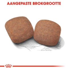 Royal Canin Giant Adult - Hondenvoer -Dierenvriend Kortingshuis royal canin giant adult hondenvoer 128399 1000 none