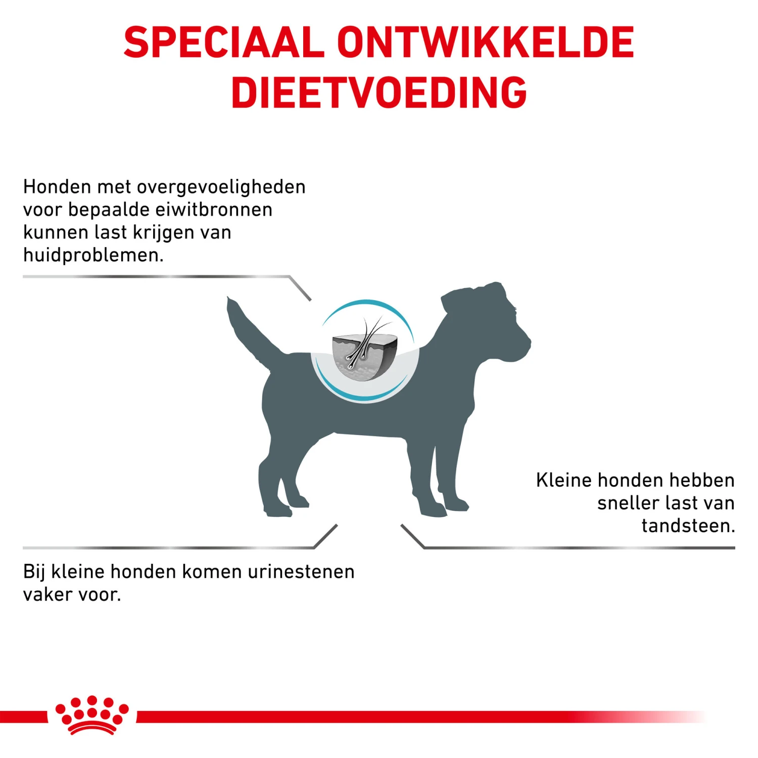 Royal Canin Hypoallergenic Kleine Hond 6 Royal Canin Hypoallergenic Kleine Hond - Afbeelding 6