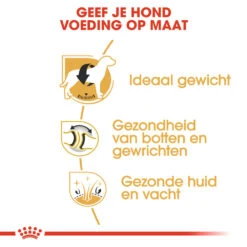 Royal Canin Labrador Retriever Adult - Hondenvoer -Dierenvriend Kortingshuis royal canin labrador retriever adult hondenvoer 139375 1000 none