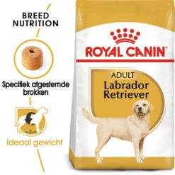 Royal Canin Labrador Retriever Adult - Hondenvoer -Dierenvriend Kortingshuis royal canin labrador retriever adult hondenvoer 140612 1000 none