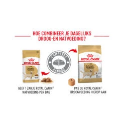 Royal Canin Labrador Retriever Adult - Hondenvoer -Dierenvriend Kortingshuis royal canin labrador retriever adult hondenvoer 164110 0500 none