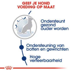 Royal Canin Maxi Ageing 8+ - Hondenvoer -Dierenvriend Kortingshuis royal canin maxi ageing 8 hondenvoer 128711 1000 none