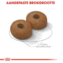 Royal Canin Maxi Ageing 8+ - Hondenvoer -Dierenvriend Kortingshuis royal canin maxi ageing 8 hondenvoer 128720 1000 none