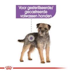 Royal Canin Mini Sterilised - Hondenvoer -Dierenvriend Kortingshuis royal canin mini sterilised hondenvoer 133235 1000 none