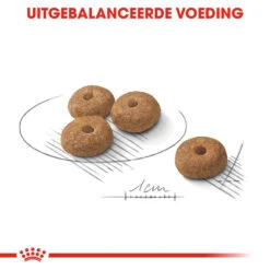 Royal Canin Mini Sterilised - Hondenvoer -Dierenvriend Kortingshuis royal canin mini sterilised hondenvoer 133253 1000 none