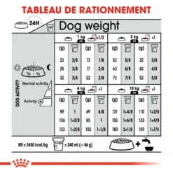 Royal Canin Mini Sterilised - Hondenvoer -Dierenvriend Kortingshuis royal canin mini sterilised hondenvoer 133268 1000 none