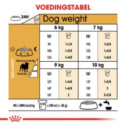 Royal Canin Pug Adult - Hondenvoer -Dierenvriend Kortingshuis royal canin pug adult hondenvoer 139840 1000 none