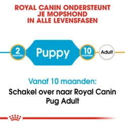 Royal Canin Pug Puppy - Hondenvoer -Dierenvriend Kortingshuis royal canin pug puppy hondenvoer 139864 1000 none