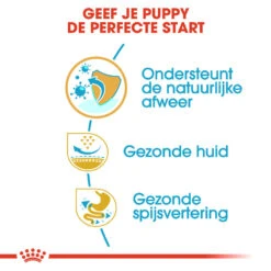 Royal Canin Pug Puppy - Hondenvoer -Dierenvriend Kortingshuis royal canin pug puppy hondenvoer 139882 1000 none