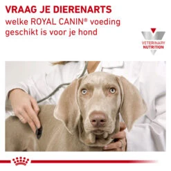 Royal Canin Urinary S/O Hond - Blik -Dierenvriend Kortingshuis royal canin urinary so hond 153688 1000 none