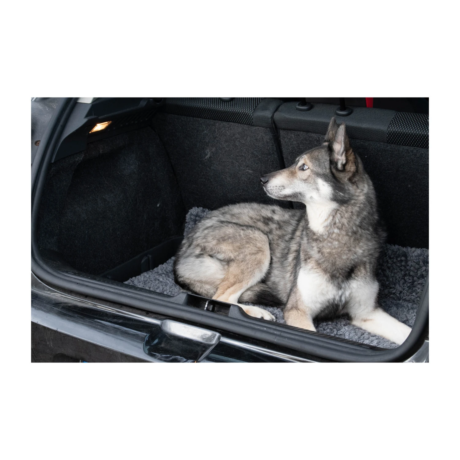 Royal Dry Doormat 8 Royal Dry Doormat - Afbeelding 8