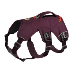 Ruffwear Webmaster Harness -Dierenvriend Kortingshuis ruffwear web master harness xxs purple rain 133851 2000 none