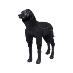 RukkaPets Protect Overall Zwart -Dierenvriend Kortingshuis rukkapets protect overall zwart 216397 2000 none
