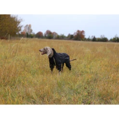 RukkaPets Protect Overall Zwart -Dierenvriend Kortingshuis rukkapets protect overall zwart 216401 2000 none