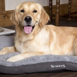 Boneguard Rawhide Bones -Dierenvriend Kortingshuis scruffs cosy mattress 209363 1500 none