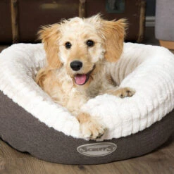 Scruffs Ellen Donut -Dierenvriend Kortingshuis scruffs ellen donut tan 208163 0500 none