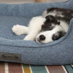 Boneguard Rawhide Bones -Dierenvriend Kortingshuis scruffs manhattan box bed 209510 1500 none