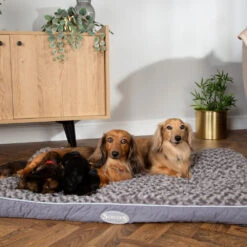 Scruffs Wilton Mattress -Dierenvriend Kortingshuis scruffs wilton mattress 209684 1000 none