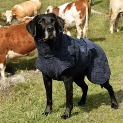 Siccaro WetDog SupremePro 2.0 -Dierenvriend Kortingshuis siccaro wetdog supremepro 190159 1000 none