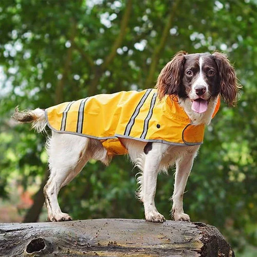 Sötnos Hondenregenjas 4 Sötnos Hondenregenjas - Afbeelding 4