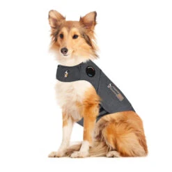 Thundershirt Hond -Dierenvriend Kortingshuis thundershirt hond 215942 2000 none