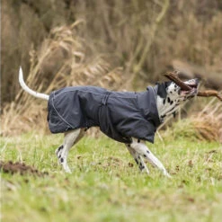 Trixie Hondenjas Calvi -Dierenvriend Kortingshuis trixie hondenjas calvi 207467 1000 none