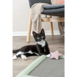 Trixie Junior Krabmat -Dierenvriend Kortingshuis trixie junior krabmat 221246 0500 none