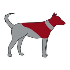 Trixie Opblaasbare Beschermkraag -Dierenvriend Kortingshuis trixie opblaasbare beschermkraag 101866 0500 none