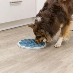 Trixie Slow Feeding Voederbak Bijenkorf 8 Trixie Slow Feeding Voederbak Bijenkorf -Dierenvriend Kortingshuis trixie slow feeding voederbak bijenkorf 205454 0500 none