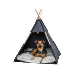 Trixie Tipi -Dierenvriend Kortingshuis trixie tipi 205724 2000 none
