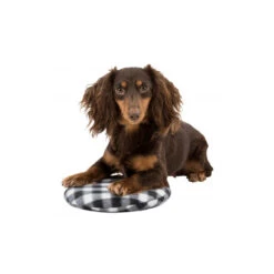 Trixie Warmtekussen -Dierenvriend Kortingshuis trixie warmtekussen 145868 1000 none
