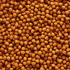 Versele-Laga Nutribird T16 Toekan -Dierenvriend Kortingshuis versele laga nutribird t16 toekan 219042 1000 none