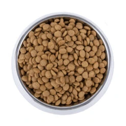 Vetality Skin Support - Hondenvoer -Dierenvriend Kortingshuis vetality skin support hondenvoer 195221 1000 none