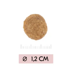 Vetality Skin Support - Hondenvoer -Dierenvriend Kortingshuis vetality skin support hondenvoer 195452 1000 none