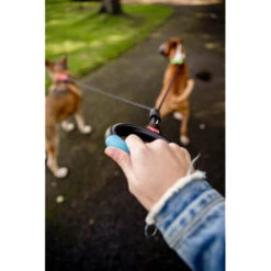 Wigzi Dual Doggie Gel Leash -Dierenvriend Kortingshuis wigzi dual doggie gel leash 221501 0500 none