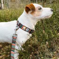 Woolly Wolf Woodland Hondenriem 7 Woolly Wolf Woodland Hondenriem -Dierenvriend Kortingshuis woolly wolf woodland hondenriem 204539 1000 none