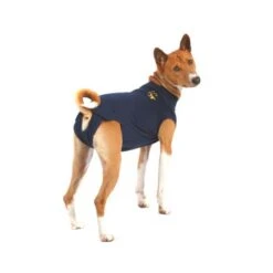 Medical Pet Shirt Hond -Dierenvriend Kortingshuis xPuDXIGJ8BUF7KNct4dTau2Ls058PG metaYzY5MjU1OWNiMjdkMjQ4YTBkODUyNGFkZWQ4MzM5NDgzZjhkNDFmOGJkN2ZmMmU1MzNjZmYwODUxN2VhNDUxYV8zLmpwZWc