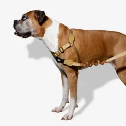 Zee.Dog Soft Walk Harness -Dierenvriend Kortingshuis zeedog soft walk harness 200678 1000 none