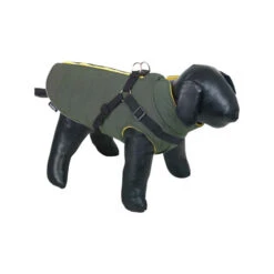 Nobby Hondenjas Sobak -Dierenvriend Kortingshuis zfANZ9X8QmVKtjtz2X3OCjSc3mM0kN metabm9iYnlfaG9uZGVuamFzX3NvYmFrXzIxNjkxOF8wNTAwX25vbmUuanBn